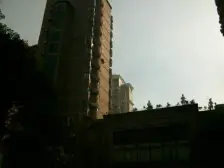 罗马花园 2室1厅 南