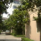 天虹四村 3室2厅 南