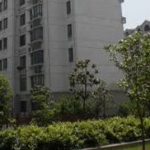 龙馨公寓 2室2厅 南 北