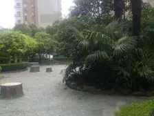 近地铁,中间楼层 电梯房,入住快 业主诚意