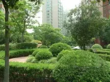 振大公寓3室南朝向758.00万元/套出售