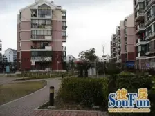 浦发绿城浦三路2801弄 2室2厅 南 北