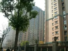 本房采光景观好,看小区绿化,业主诚意出售