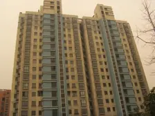 三林前滩+商品品质+有车位+花园位置+出行方便+诚意售