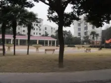 三林安居苑 2室1厅 南 北