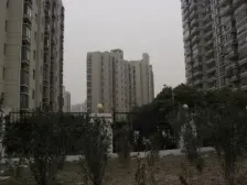 金禾新苑 1室1厅 南