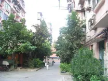 一楼抬高地面3个台阶不潮湿,有约15平米天井花园