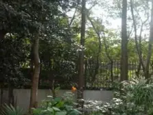 新华路·云阳村·1室·1厅