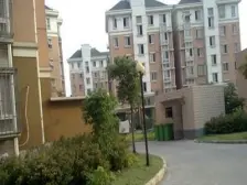 港城新苑 1室1厅 南