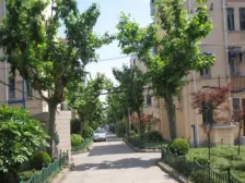 双南两房,22号线金山卫站直达市区,交通便利,配套好