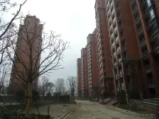 南北通透 大面积采光好 双卫双厅