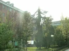 建设新村 2室1厅 南