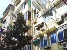 鲁迅公园 · 祥德新苑 · 1室 · 1厅