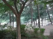 品质小区,小区中心位置,诚意出售,刚需好房