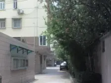 中间楼层,全明两房,推窗见梧桐树