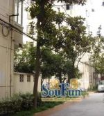 品质小区,小区中心位置,诚意出售,刚需好房
