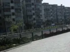 罗秀二村 1室1厅 南