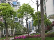 电梯房,主卧朝南,小区中心位置,小区景观位置