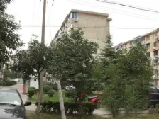 挂牌价忽略一楼双天井 给 jia 就卖