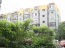 张杨路370弄2室1厅南