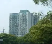 黄浦江旁,电梯房,一线江景房。近地铁。