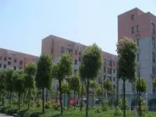 南枫线近地铁顶楼带平顶阁楼南北厅全明户型清爽装修