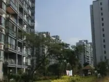 莘闵·龙麒苑·2室·2厅