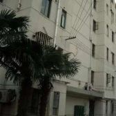 产权清晰无抵押,刚需上车必看好房