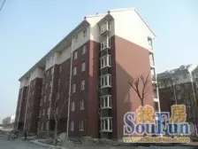 汇尊国际 2室1厅 南