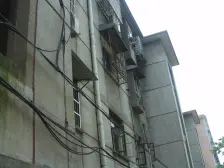 金山铁路金山卫站可以直达上海南站和莘庄