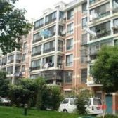 近地铁,现场实勘,采光好必看好房