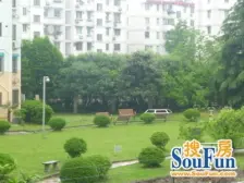 金龙花苑牡丹园 1室1厅 南