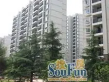 电梯中层+精装修+近地铁+南北通+采光好