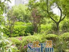 黄兴公园·佳木斯路165弄·1室·0厅