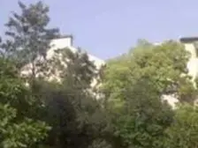 网红打卡地+武康大楼对面+双南 南北通+交通便利