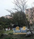 大开间,两房朝南,靠近花园,品质小区