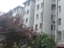 镇东新村 3室1厅 南