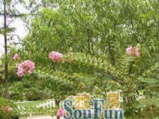 离地铁较近低总价的两房,精装修。