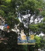 控江路635号 1室1厅 南 北