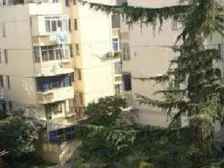 南北通透 楼层好 位置好 业主诚意 看房提前预约