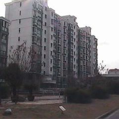 川沙·新川路209弄·2室·1厅