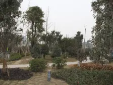 地铁5号线 七彩华府 精装三室双卫 出行便利