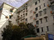 张家浜小区1室南朝向430.00万元/套出售