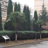 小区在卖好户型小区景观位置低楼层有钥匙看房方便
