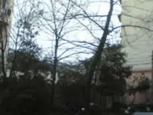 大宁·沪太路651弄·1室·0厅