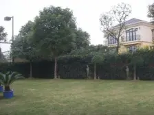 前滩南 独栋别墅 环境好 城市中安静别墅