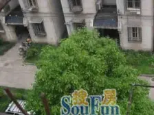 江湾镇精装两房全明户型方正交通便利一梯两户
