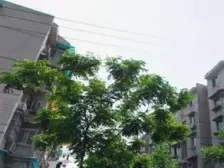 黄渡小区2室南朝向360.00万元/套出售