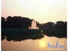 独栋大别墅!前后大花园带两个车位,业主诚心卖