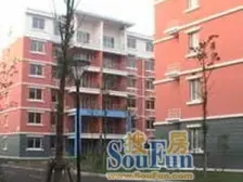 欣春苑 2室1厅 南